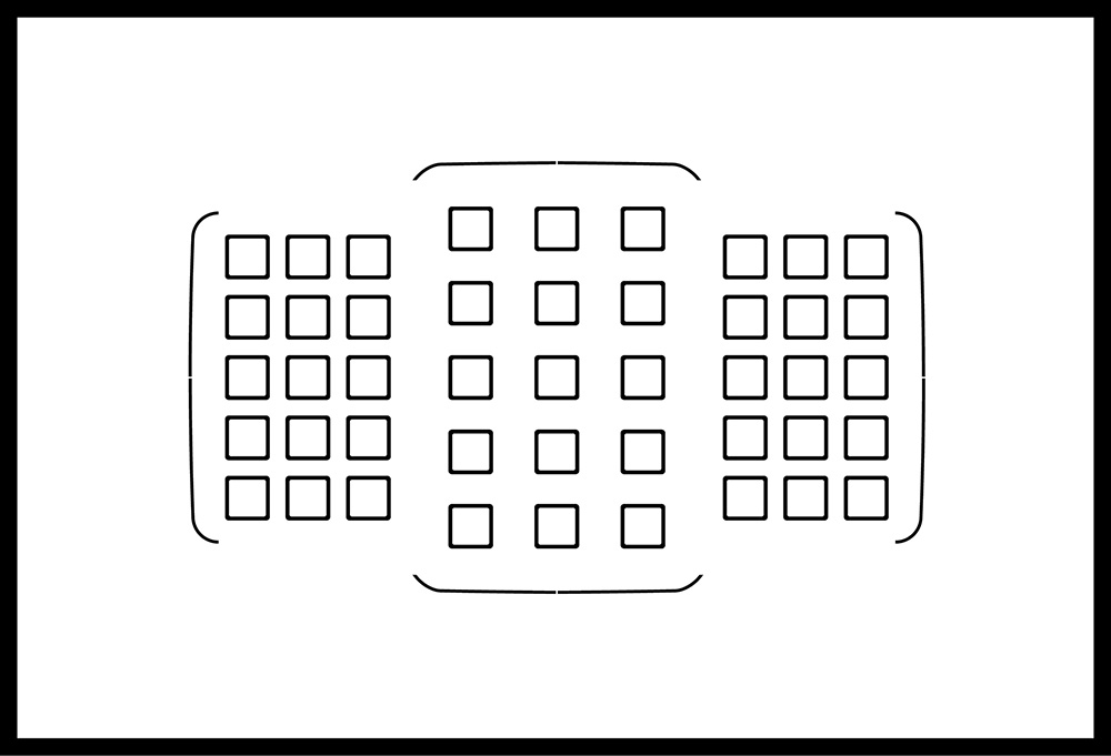 45-point AF Array