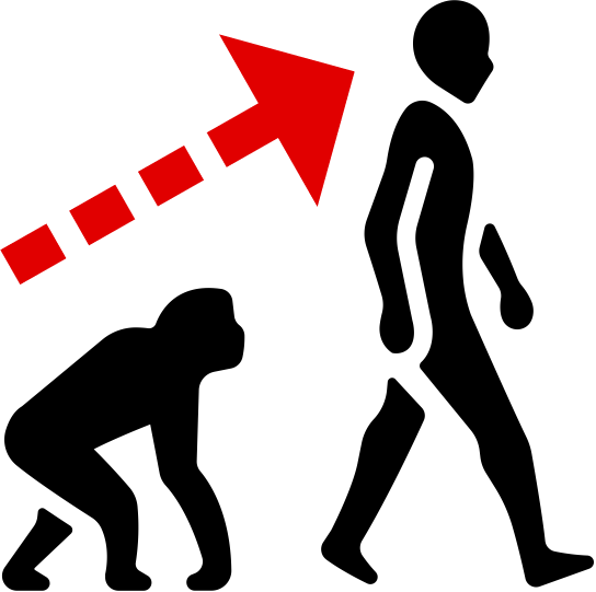 evolution_icon