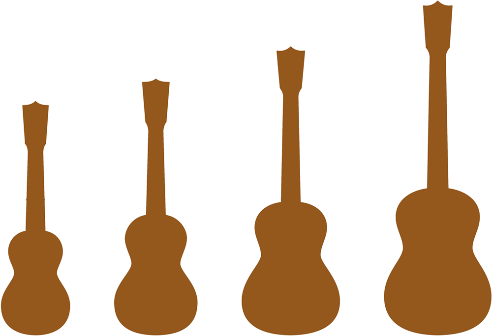 instrument family