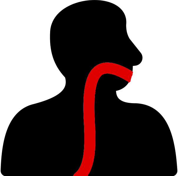 vocal_anatomy_icon