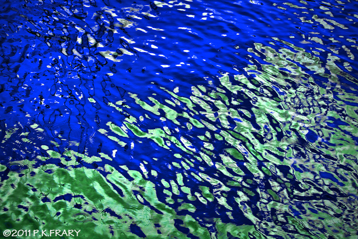 Palm Reflections at Aloha Tower | Peter Kun Frary