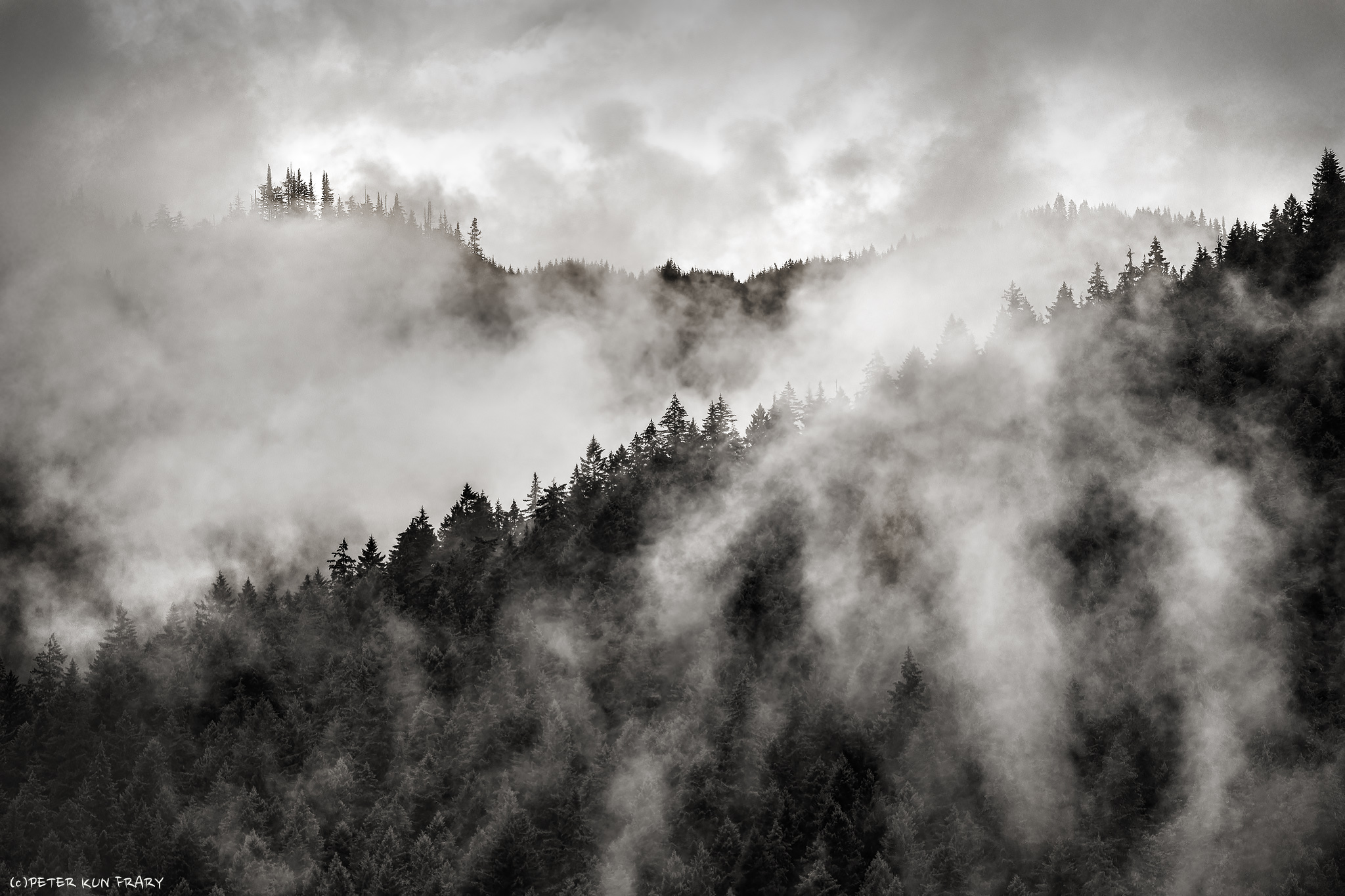 Olympic Mountains