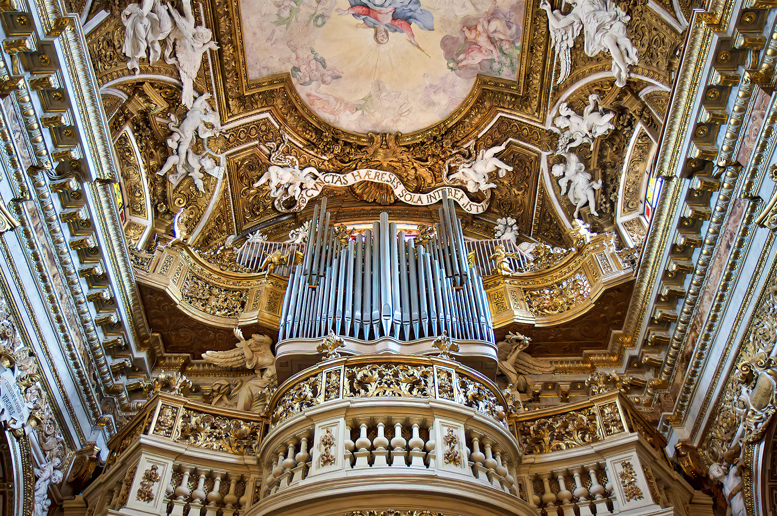 Organ