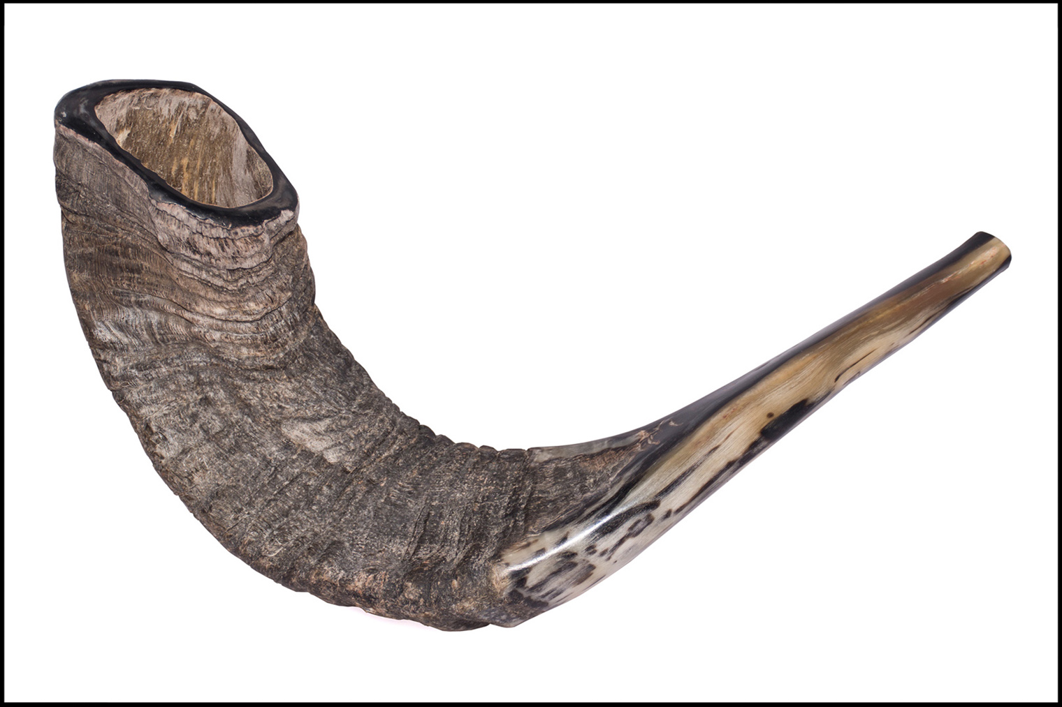 shofar