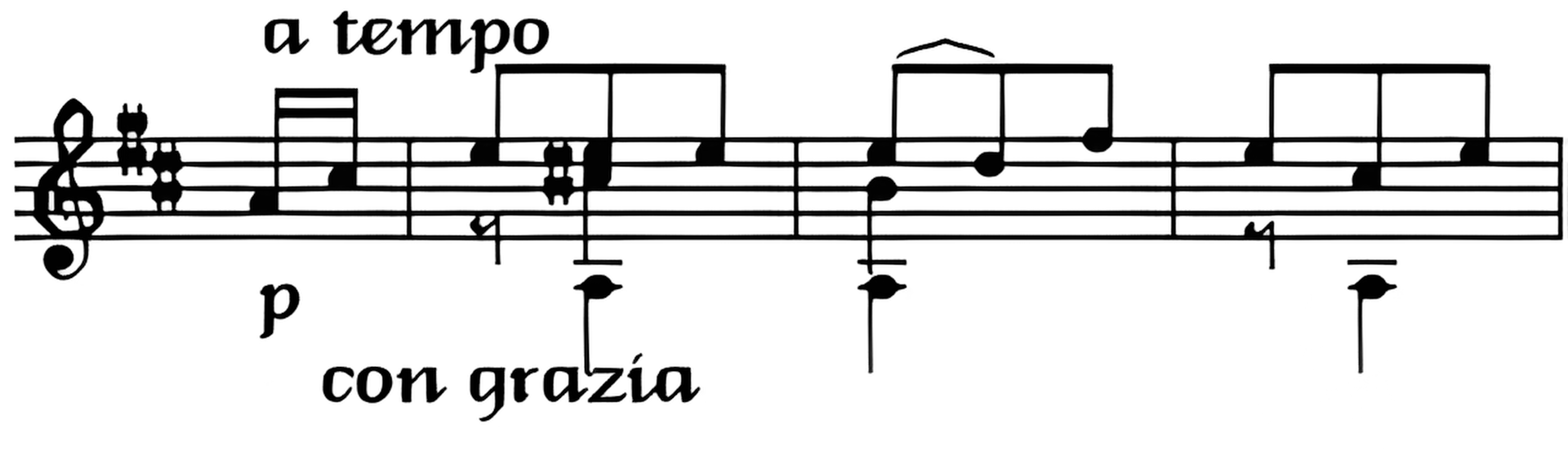 campo theme B